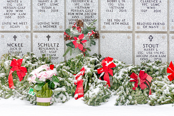 WAA 2019 © PicsbyJax-1689.jpg