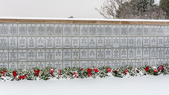 WAA 2019 © PicsbyJax-1692.jpg