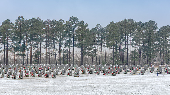 WAA 2019 © PicsbyJax-1693.jpg