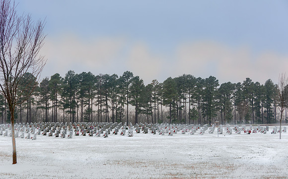 WAA 2019 © PicsbyJax-1698.jpg