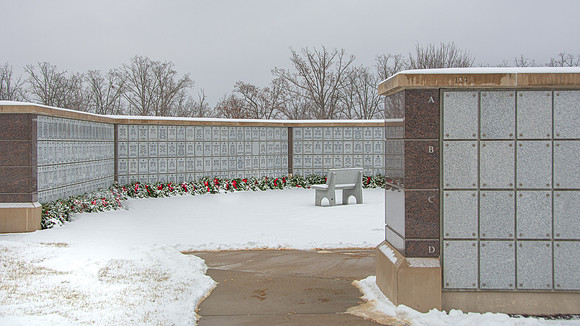 WAA 2019 © PicsbyJax-1700.jpg
