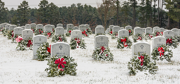 WAA 2019 © PicsbyJax-1702.jpg