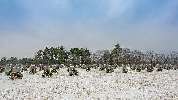 WAA 2019 © PicsbyJax-1704.jpg