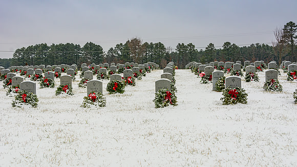 WAA 2019 © PicsbyJax-1708.jpg