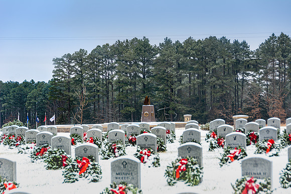 WAA 2019 © PicsbyJax-1721.jpg