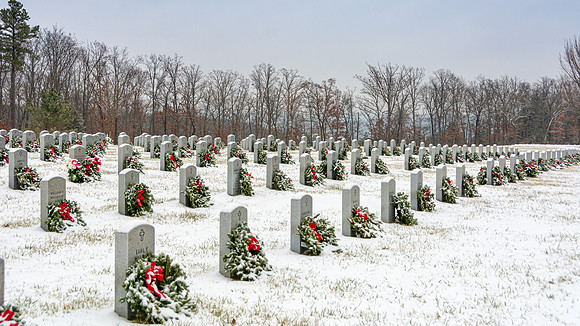 WAA 2019 © PicsbyJax-1722.jpg