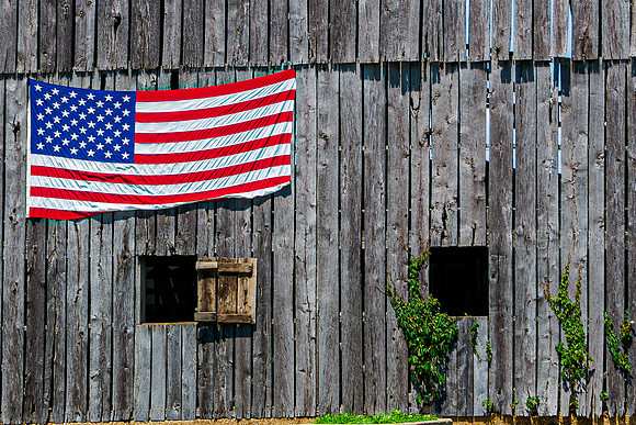 Country Shots (c)2017PicsbyJax-5173-2.jpg