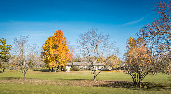 E.D.Rush Covered Bridge in Lebanon, MO (C)2017PicsbyJax-5367.jpg