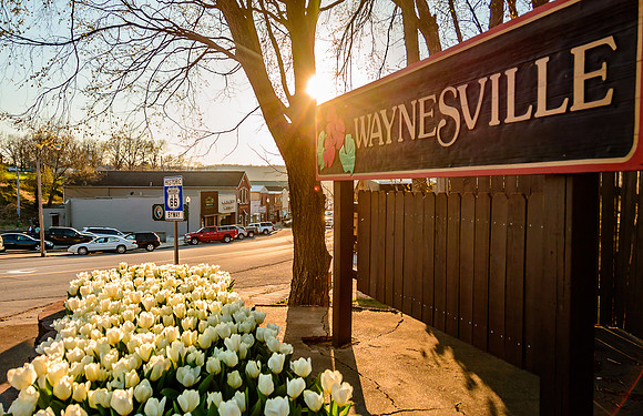 Route 66 - Waynesville MO (c)2017PicsbyJax waynesvillemo signage tulips route66 plantersofpulaskicountygardenclub getyourpicsonroute66 picsbyjax-7435.jpg