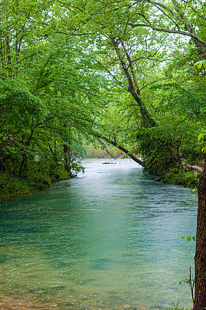 Spring 2019 (c) PicsbyJax-0112-2.jpg