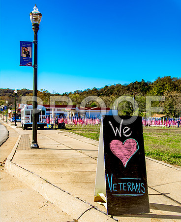 ASYMCA Field of Heroes 2016 (c)PicsbyJax #armedservicesymca #waynesvillemo #veterans #military #getyourpicsonroute66 #route66 #picsbyjax-0812-2.jpg