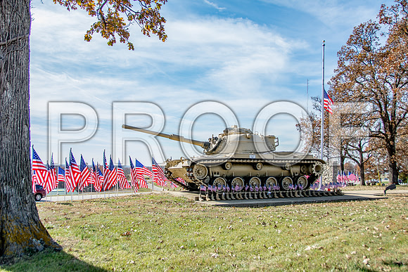 Field of Heroes 2017 (c)PicsbyJax #ASYMCA #strobertmo #georgemreedroadsidepark #route66 #veteransday #FOH2017-5475-2.jpg