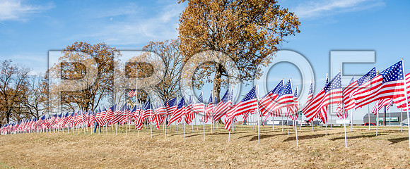 Field of Heroes 2017 (c)PicsbyJax #ASYMCA #strobertmo #georgemreedroadsidepark #route66 #veteransday #FOH2017-5490-2.jpg