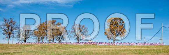 Field of Heroes 2017 (c)PicsbyJax #ASYMCA #strobertmo #georgemreedroadsidepark #route66 #veteransday #FOH2017-5499-2.jpg