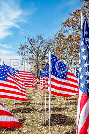 Field of Heroes 2017 (c)PicsbyJax #ASYMCA #strobertmo #georgemreedroadsidepark #route66 #veteransday #FOH2017-5527-2.jpg