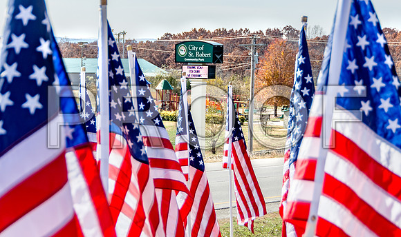 Field of Heroes 2017 (c)PicsbyJax #ASYMCA #strobertmo #georgemreedroadsidepark #route66 #veteransday #FOH2017-5535-2.jpg