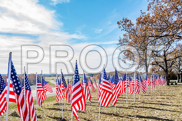 Field of Heroes 2017 (c)PicsbyJax #ASYMCA #strobertmo #georgemreedroadsidepark #route66 #veteransday #FOH2017-5538-2.jpg