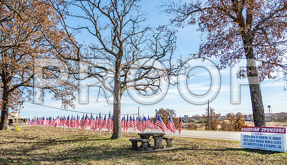 Field of Heroes 2017 (c)PicsbyJax #ASYMCA #strobertmo #georgemreedroadsidepark #route66 #veteransday #FOH2017-5588-2.jpg