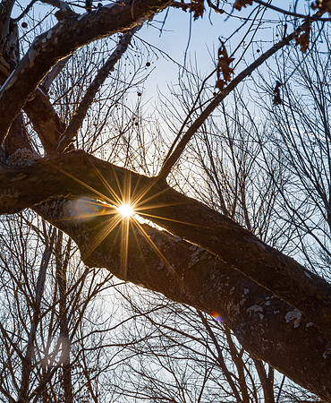 Roubidoux Sunshine - 0957.jpg