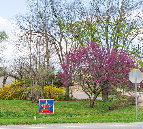 Spring 2020 (C)PicsbyJax-4164.jpg