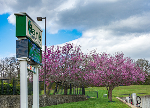 Spring 2020 (C)PicsbyJax-4165.jpg