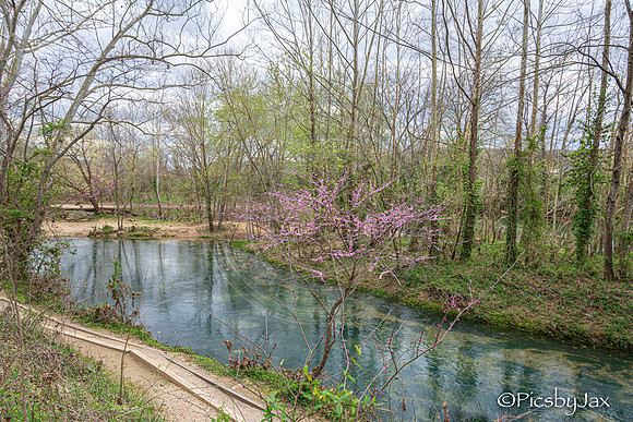 Spring 2020 © PicsbyJax-4233