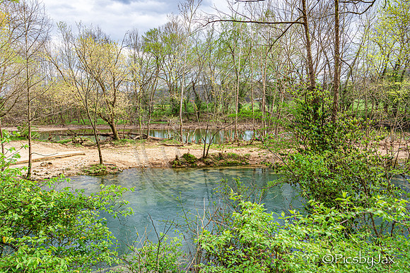 Spring 2020 © PicsbyJax-4241