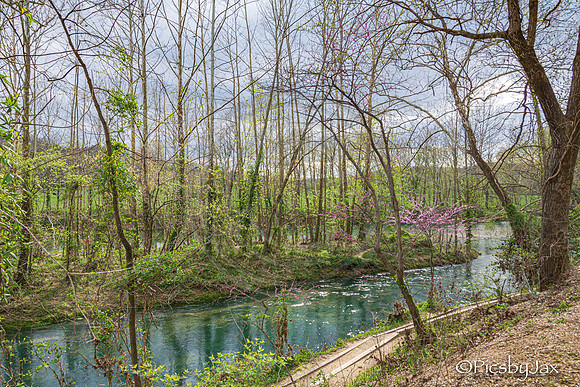 Spring 2020 © PicsbyJax-4239