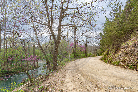 Spring 2020 © PicsbyJax-4245