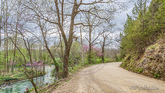 Spring 2020 © PicsbyJax-4246