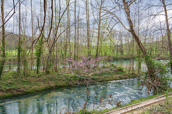 Spring 2020 © PicsbyJax-4235