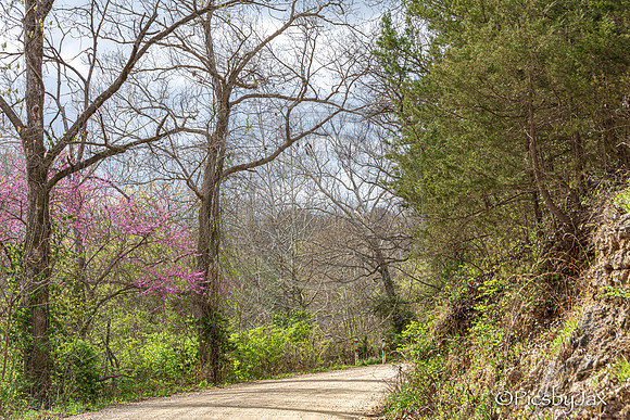 Spring 2020 © PicsbyJax-4243