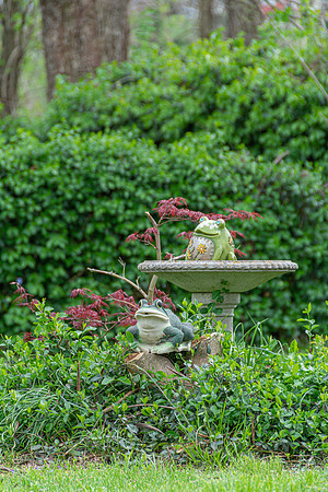 Spring 2020 (C)PicsbyJax-4174.jpg