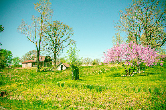 Spring 2020 © PicsbyJax-4481.jpg