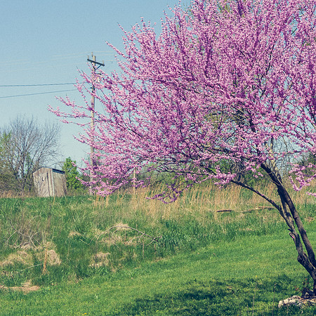 Spring 2020 © PicsbyJax-4482.jpg