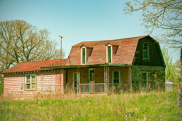 Spring 2020 © PicsbyJax-4484.jpg