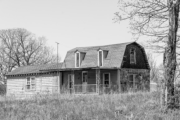 Spring 2020 © PicsbyJax-4485.jpg