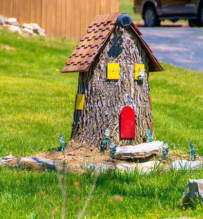Spring 2020 © PicsbyJax-4487.jpg