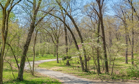 Spring 2020 © PicsbyJax-4489.jpg