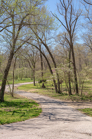 Spring 2020 © PicsbyJax-4491.jpg