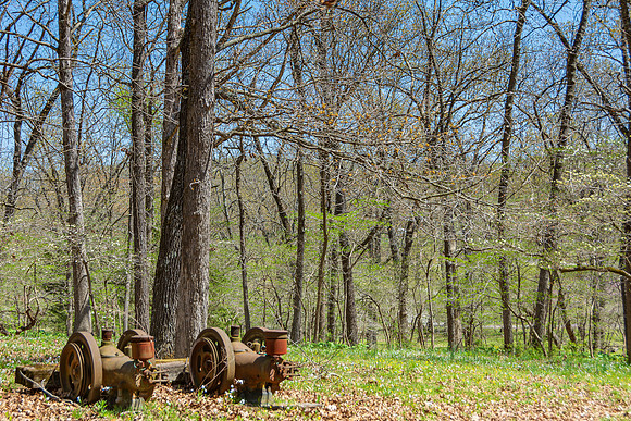 Spring 2020 © PicsbyJax-4521.jpg