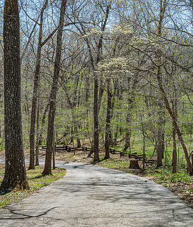 Spring 2020 © PicsbyJax-4525.jpg