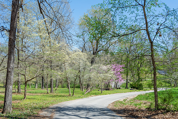 Spring 2020 © PicsbyJax-4533.jpg