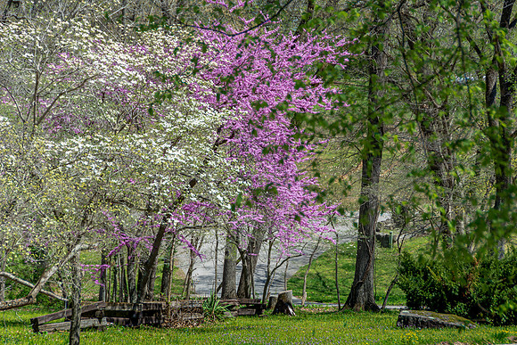 Spring 2020 © PicsbyJax-4536.jpg