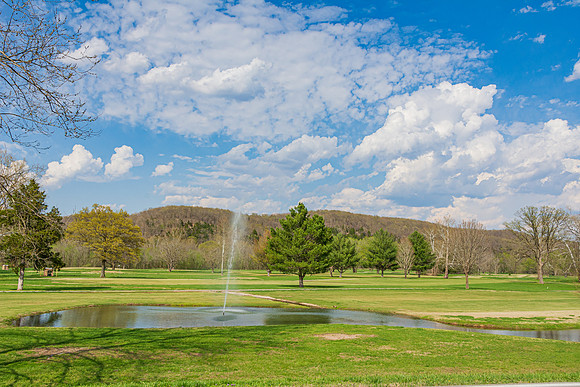 Spring 2020 © PicsbyJax-4393.jpg