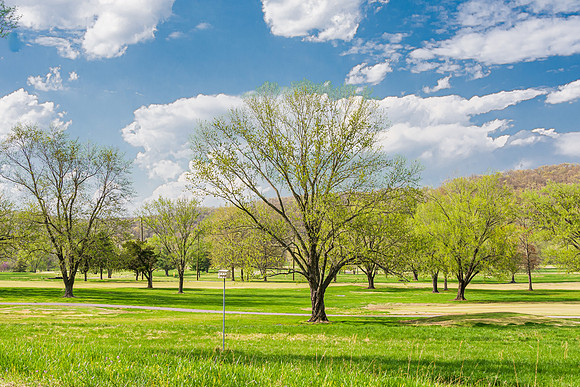 Spring 2020 © PicsbyJax-4409.jpg