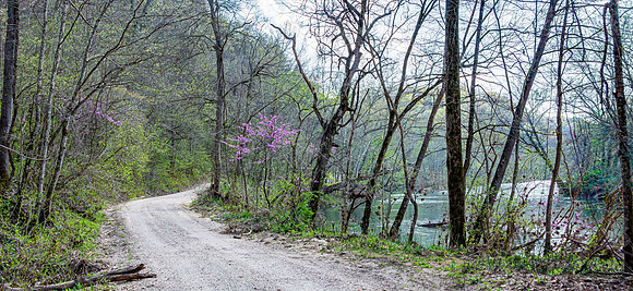 Spring 2020 © PicsbyJax-4447.jpg