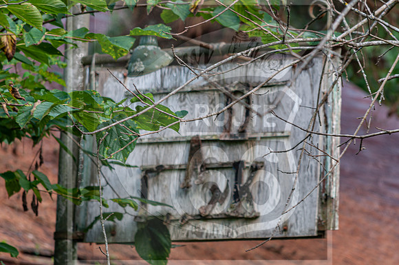 Devils Elbow, MO ©PicsbyJax-0002.jpg