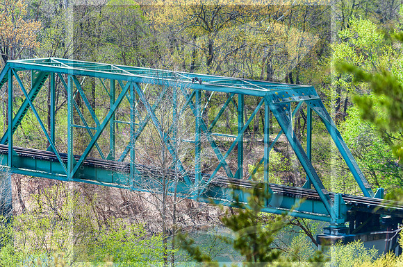 Spring 2020 © PicsbyJax-0263.jpg