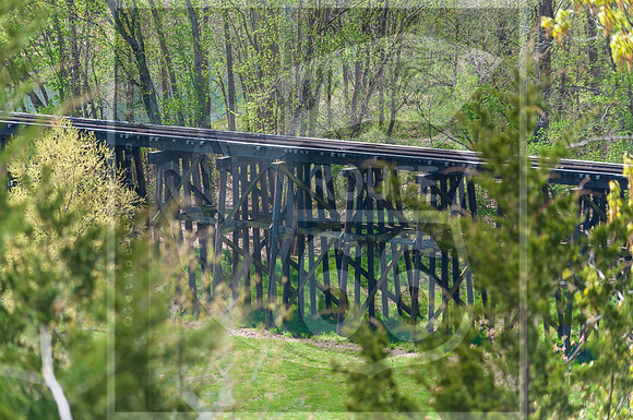 Spring 2020 © PicsbyJax-0266.jpg